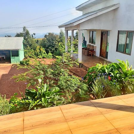 Ruhija Gorilla Guest House Kabale Kültér fotó