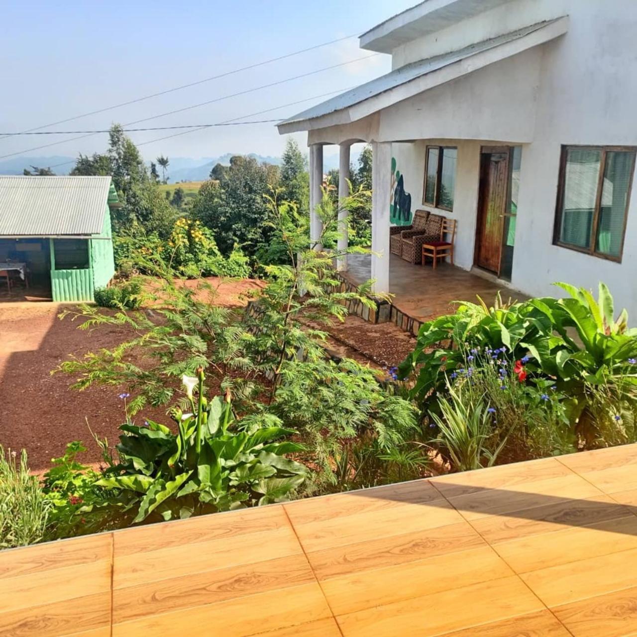 Ruhija Gorilla Guest House Kabale Kültér fotó