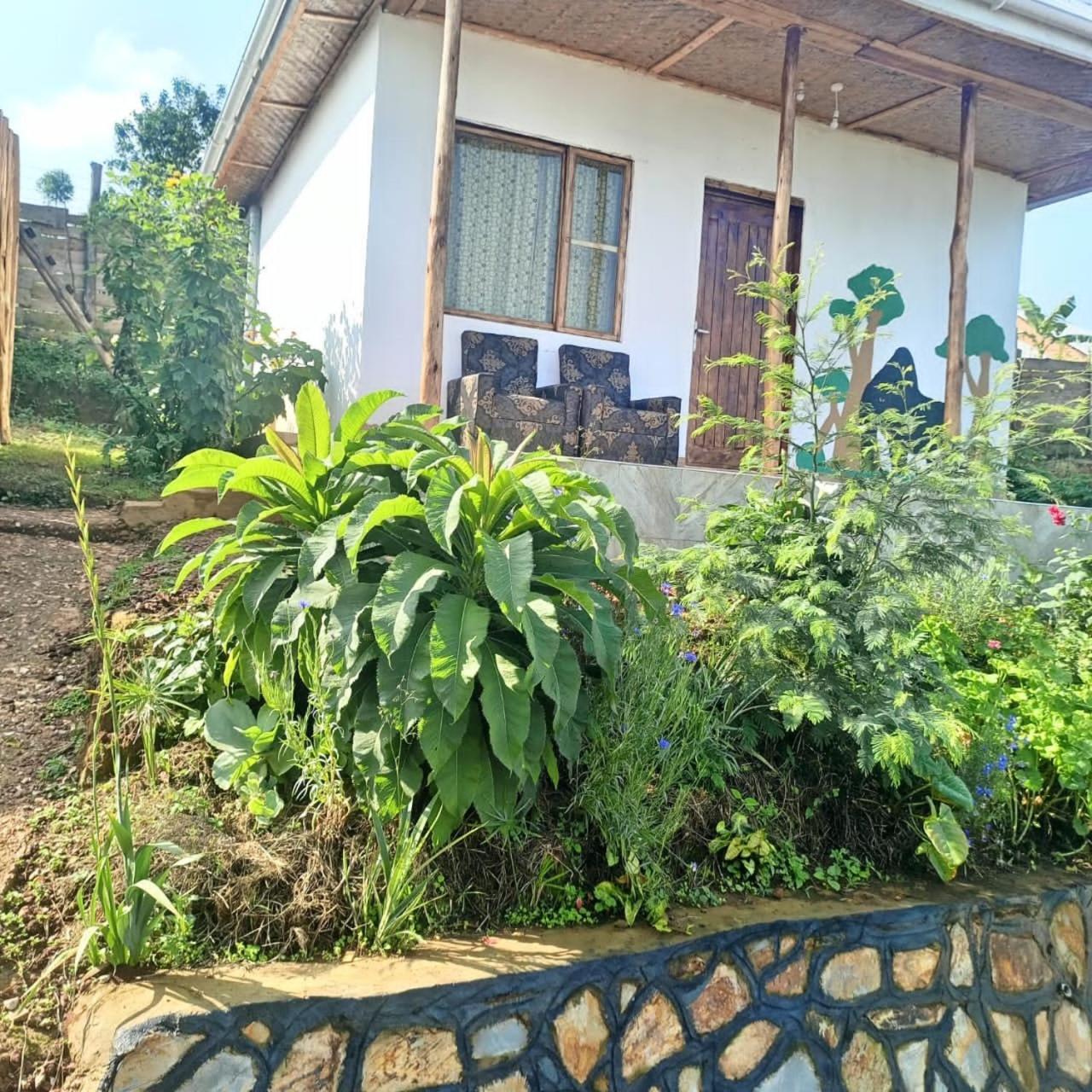 Ruhija Gorilla Guest House Kabale Kültér fotó